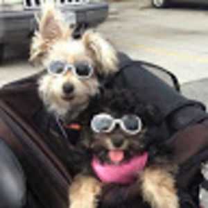 Meet your Posher, Brooke